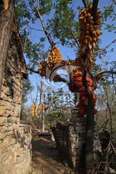 山村农家院