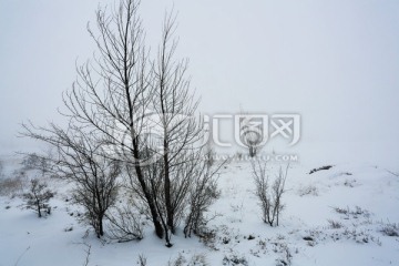 内蒙古雪景高清大图摄影作品