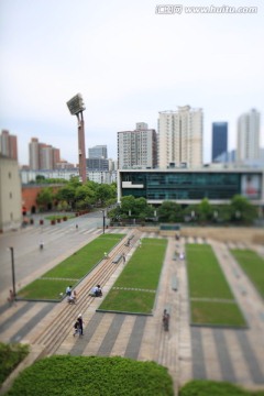 城市广场绿化
