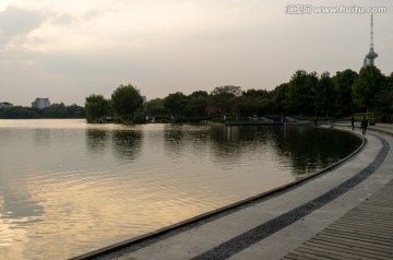青浦夏阳湖