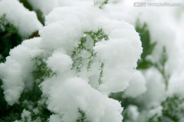 雪