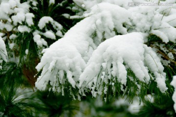 雪