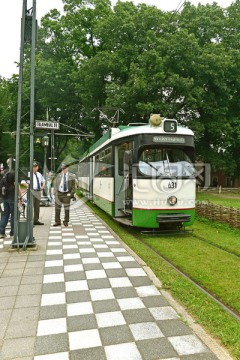 丛林电车