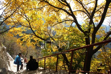 马鞍山红叶