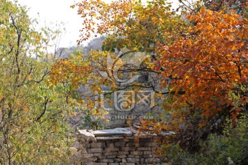 山村民居 红叶