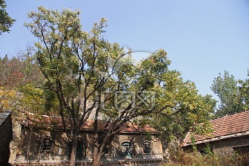 山村民居