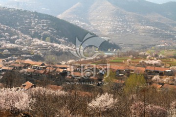 春天的小山村