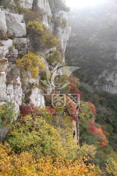 山间小路