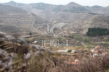 春天的小山村