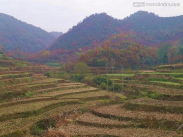 山里梯田