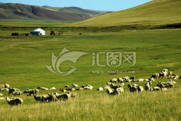 秋季草原上的蒙古包和羊群