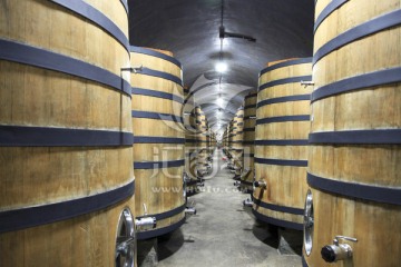 地下酒窖 张裕葡萄酒博物馆