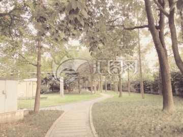 城市花园 林中小路 午后
