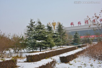 雪景