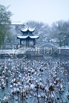 中式园林 雪景