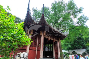 上海豫园打唱台古银杏