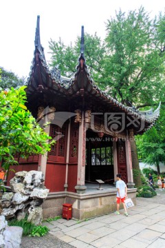 上海豫园打唱台古银杏