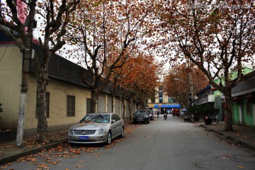 秋天的街景