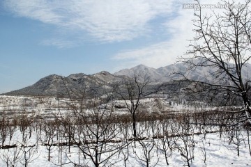 蓝天下的田野雪山