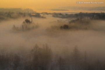 黄昏 雾