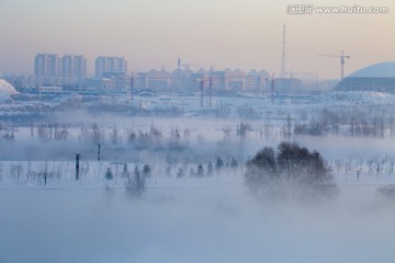 雾 树梢