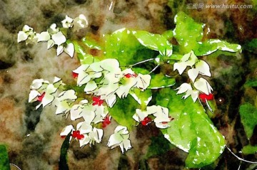 鲜花水彩画 装饰画