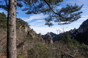 黄山松 蓝天白云