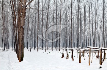 北方天空 大雪 雪后田野 天气