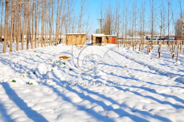 北方天空 大雪 雪后田野 天气