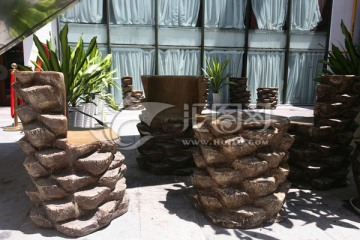 棕榈造型椅