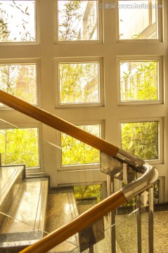 扶梯、窗格和竹子