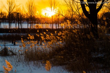 南湖湿地公园冬景