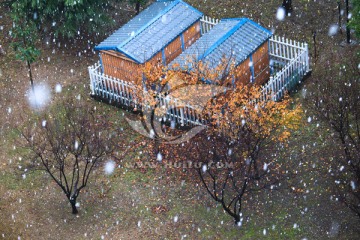 雪花下的小屋