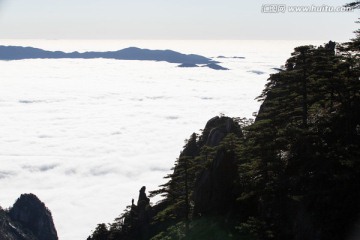 西海大峡谷 白云谷 云海苍茫