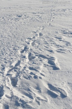 冬天 雪 脚印