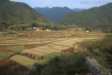 田野 村庄