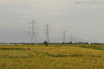 田野 特高压电网