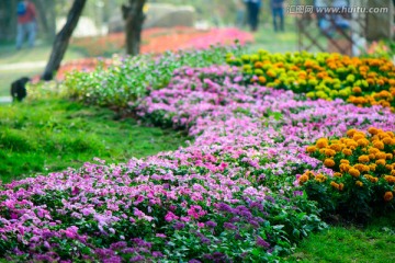 花园背景