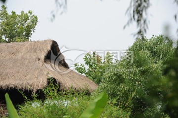 杭州西溪湿地