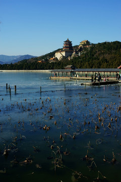 佛香阁