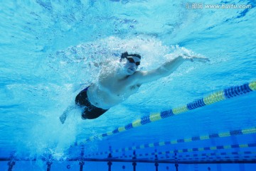 游泳运动员
