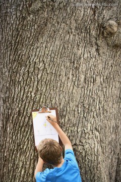 男孩画树