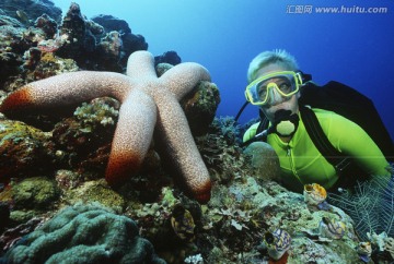 大海星 女潜水员