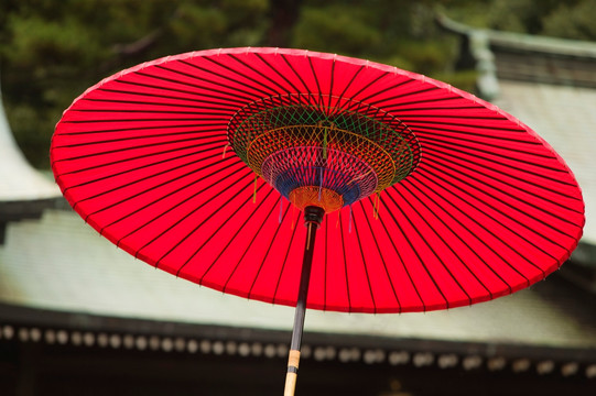 日本东京，明治神宫神社