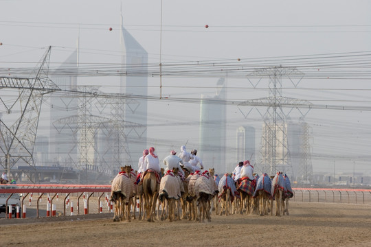 迪拜的阿联酋骆驼骑师