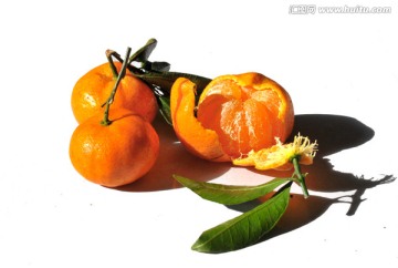 橘子 蜜桔