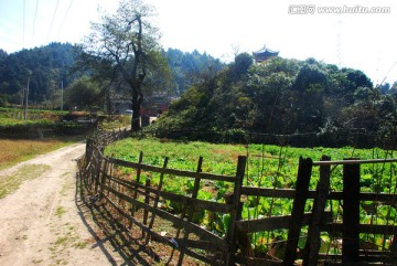 武宁太平山风情