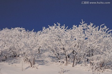 雪景景观