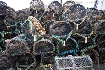 龙虾蟹捕捞网