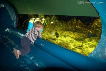 男孩看水族馆